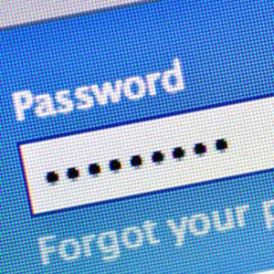 Password entry box