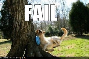 dog hits tree, #fail, failure, fail