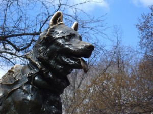 Balto statue in Central Park