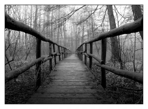 Bridge