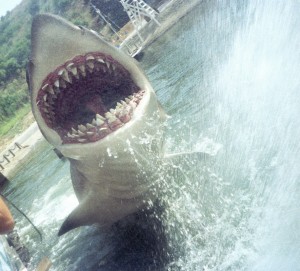 Jaws