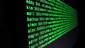 New data security service allows developers to build security into any application