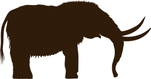 The silhouette of a wholly mammoth or mastodon